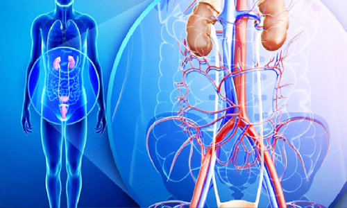 Uro-oncology